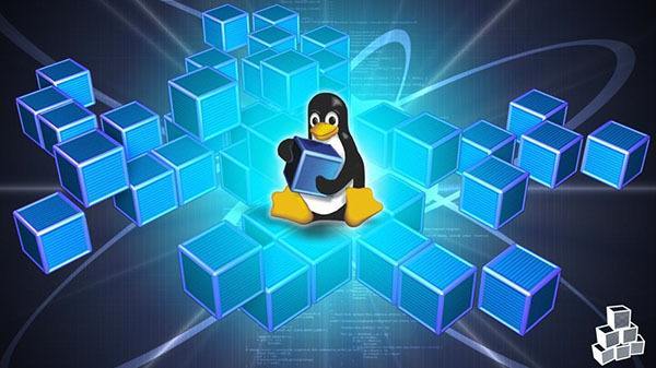 linux第十一天