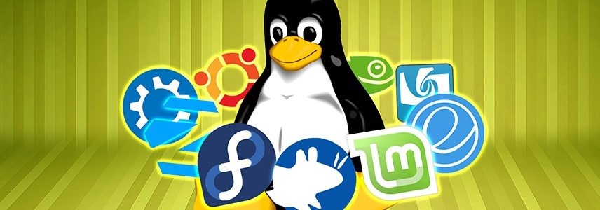 linux第十二天